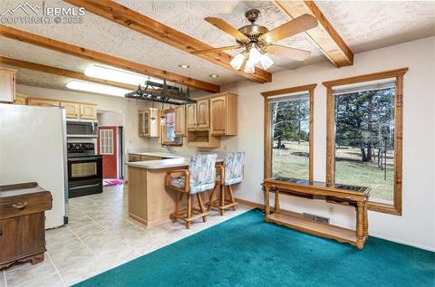 13258 S Mohawk St, Pine, CO 80470 photo 11