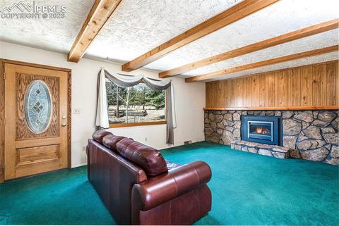 13258 S Mohawk St, Pine, CO 80470 photo 36