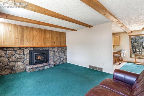 13258 S Mohawk St, Pine, CO 80470 photo 37