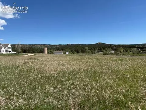 3615 Summertime Ct, Monument, CO 80132 photo 31