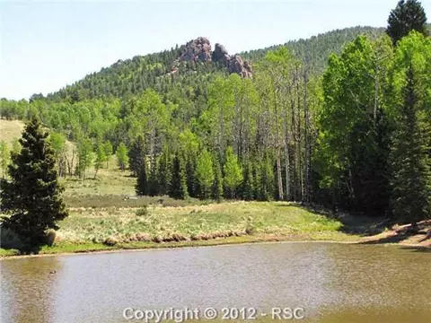 1038 Cantiberry Rd, Divide, CO 80814 photo 15