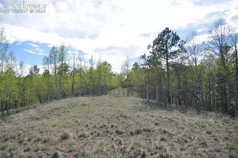 581 Yorktown Dr, Cripple Creek, CO 80813