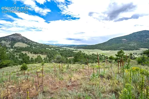 Other - 349 Post Rd, Guffey, CO 80820 photo 19 of 27