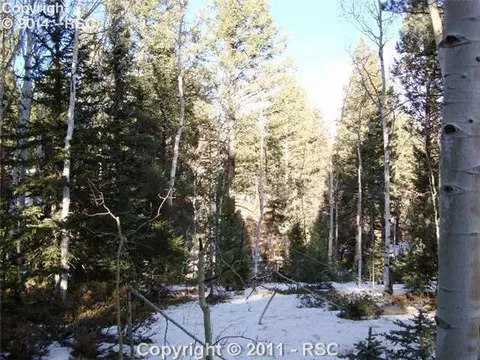 22 Broken Wheel Cir, Divide, CO 80814 photo 15