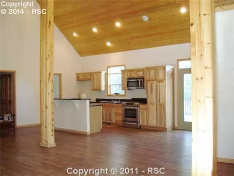 22 Broken Wheel Cir, Divide, CO 80814 photo 3