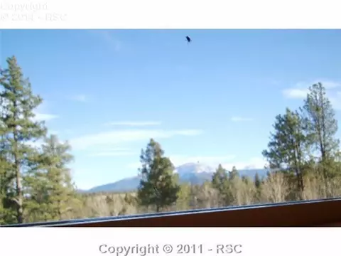 22 Broken Wheel Cir, Divide, CO 80814 photo 11