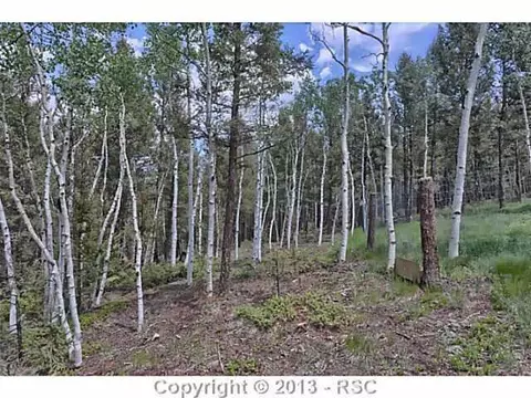 857 County Road 512 Na Na, Divide, CO 80814 photo 24