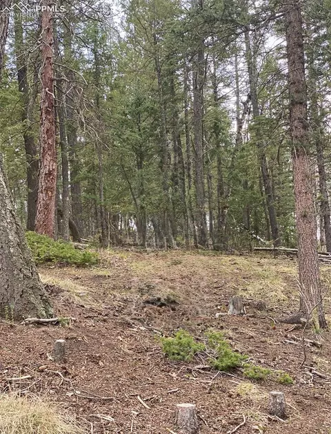 126 Glenwood Ln, Woodland Park, CO 80863