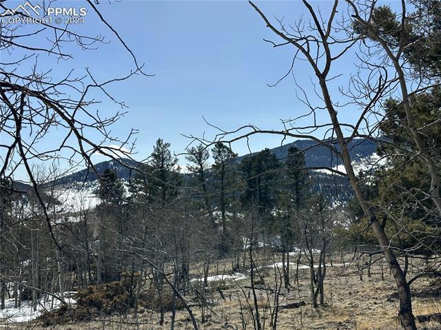 106 Bear View Ln, Guffey, CO 80820