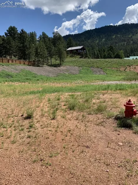 127 E Village Ter, Woodland Park, CO 80863