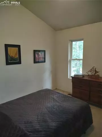 423 Ridge Rd, Divide, CO 80814 photo 31
