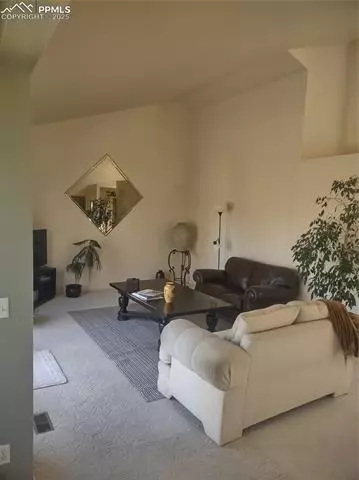 423 Ridge Rd, Divide, CO 80814 photo 9