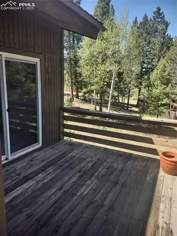 423 Ridge Rd, Divide, CO 80814 photo 36