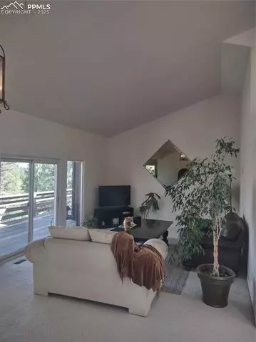 423 Ridge Rd, Divide, CO 80814 photo 8