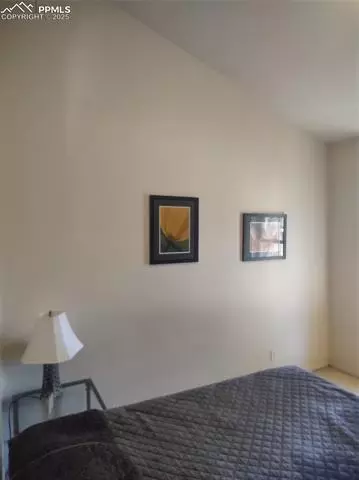 423 Ridge Rd, Divide, CO 80814 photo 30