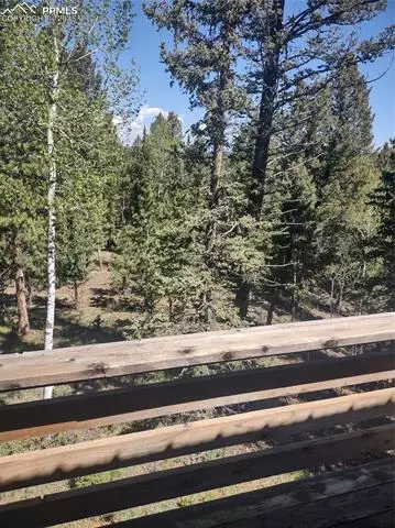 423 Ridge Rd, Divide, CO 80814 photo 39