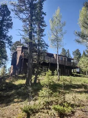 423 Ridge Rd, Divide, CO 80814 photo 4
