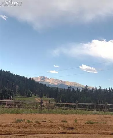 423 Ridge Rd, Divide, CO 80814 photo 48