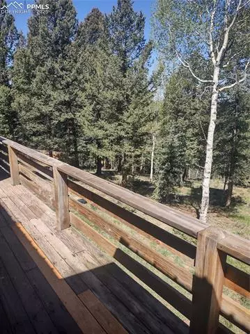 423 Ridge Rd, Divide, CO 80814 photo 38