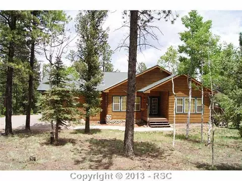 531 Spring Valley Dr, Divide, CO 80814 photo 1