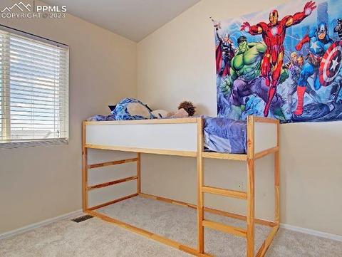 7927 Buschborn Rd, Peyton, CO 80831 photo 20