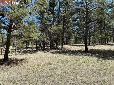 179 Monument Ln, Florissant, CO 80816