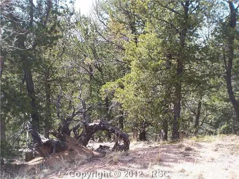 97 Paradiso Rd, Divide, CO 80814 photo 4