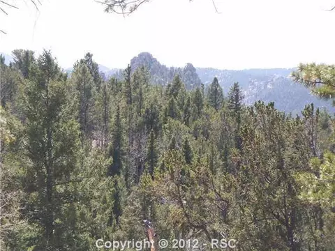 97 Paradiso Rd, Divide, CO 80814 photo 13