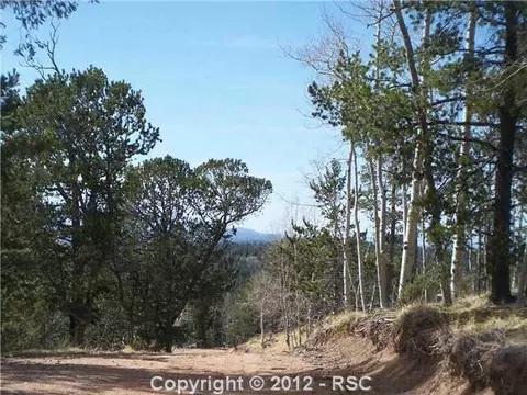 97 Paradiso Rd, Divide, CO 80814 photo 3