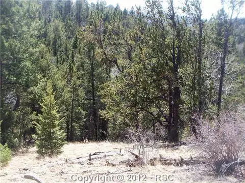 97 Paradiso Rd, Divide, CO 80814 photo 11