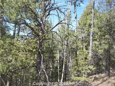 97 Paradiso Rd, Divide, CO 80814 photo 8