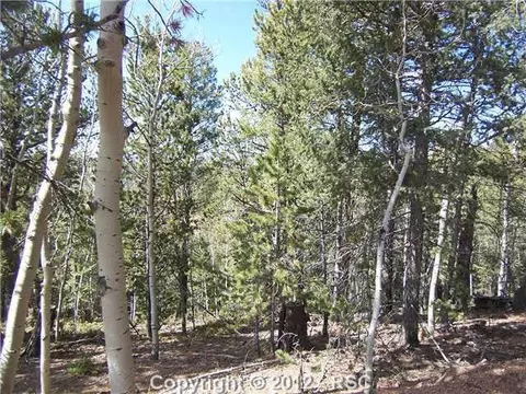 97 Paradiso Rd, Divide, CO 80814 photo 5
