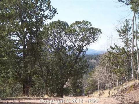 97 Paradiso Rd, Divide, CO 80814 photo 15