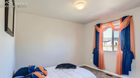 9765 Windingpark Dr, Peyton, CO 80831 photo 13