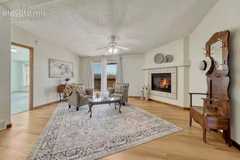 Living - 14150 Teleo Ct, Peyton, CO 80831 photo 1 of 5
