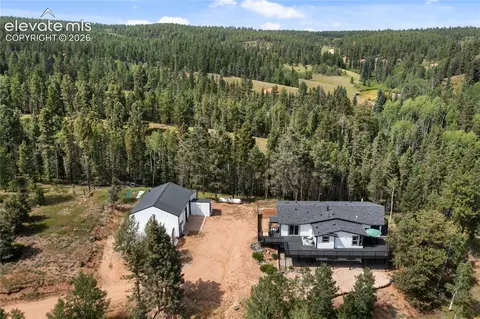 403 Pioneer Creek Dr, Florissant, CO 80816
