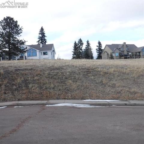 110 Allison Pl, Divide, CO 80814 photo 2