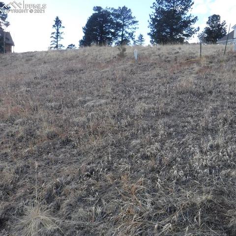 110 Allison Pl, Divide, CO 80814 photo 7