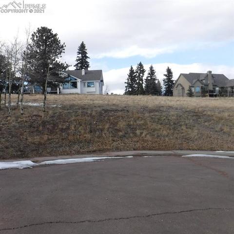 110 Allison Pl, Divide, CO 80814 photo 5