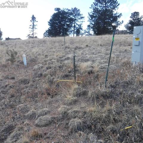 110 Allison Pl, Divide, CO 80814 photo 6