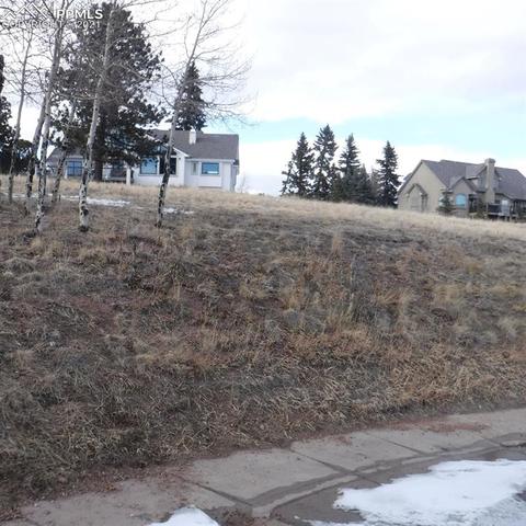 110 Allison Pl, Divide, CO 80814 photo 4