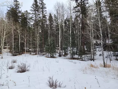 243 Pennsylvania Ave, Woodland Park, CO 80863