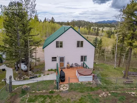 124 Bear Trl, Lake George, CO 80827