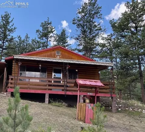 32 Icehouse Trl, Lake George, CO 80827