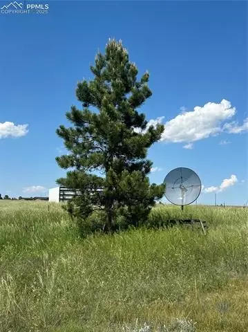11450 Eureka Rd, Calhan, CO 80808 photo 14