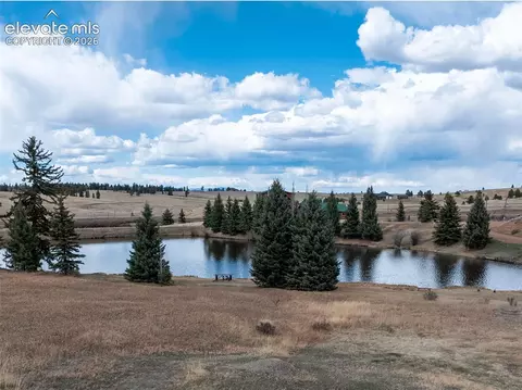 19 Worley Rd, Divide, CO 80814 photo 4