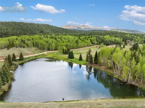 19 Worley Rd, Divide, CO 80814 photo 28