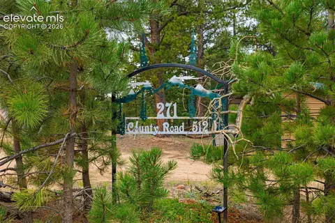 271 County Road 512, Divide, CO 80814 photo 9