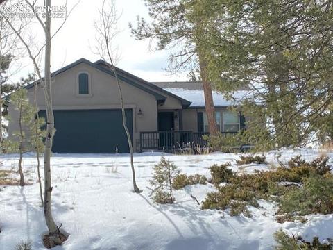 84 Forest Ln, Divide, CO 80814 photo 1