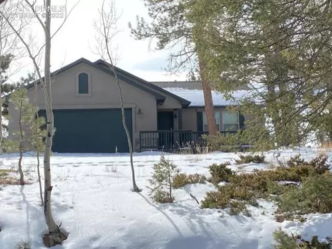 84 Forest Ln, Divide, CO 80814 photo 1